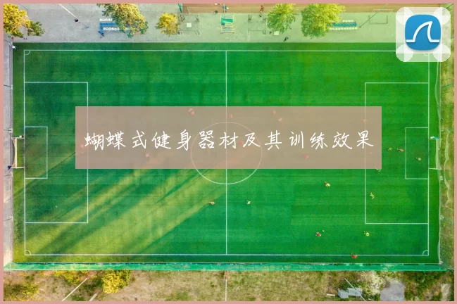蝴蝶式健身器材及其训练效果
