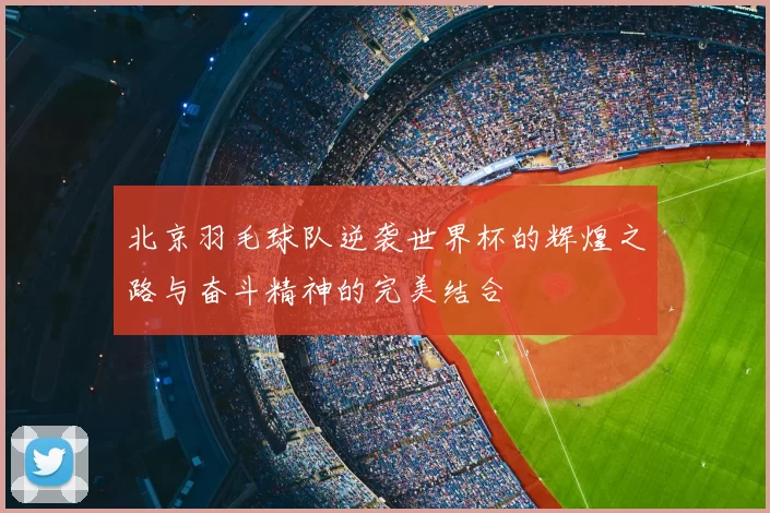 北京羽毛球队逆袭世界杯的辉煌之路与奋斗精神的完美结合