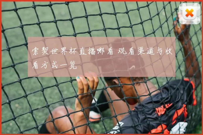 索契世界杯直播哪看 观看渠道与收看方式一览