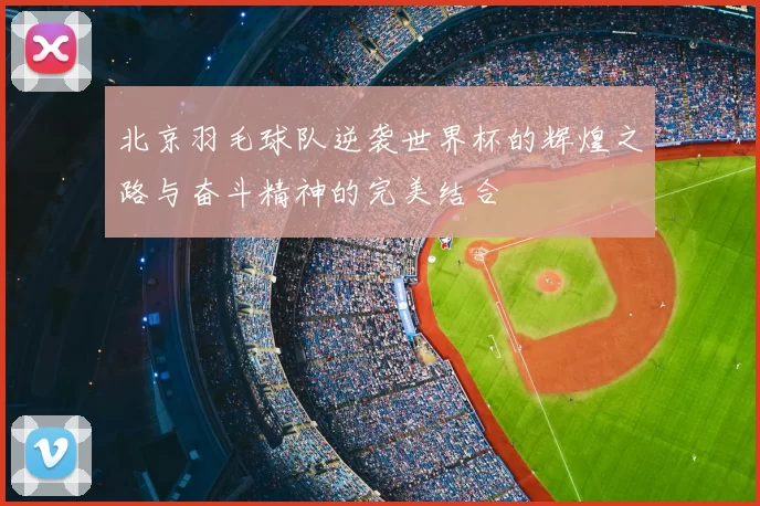 北京羽毛球队逆袭世界杯的辉煌之路与奋斗精神的完美结合