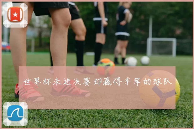 世界杯未进决赛却赢得季军的球队