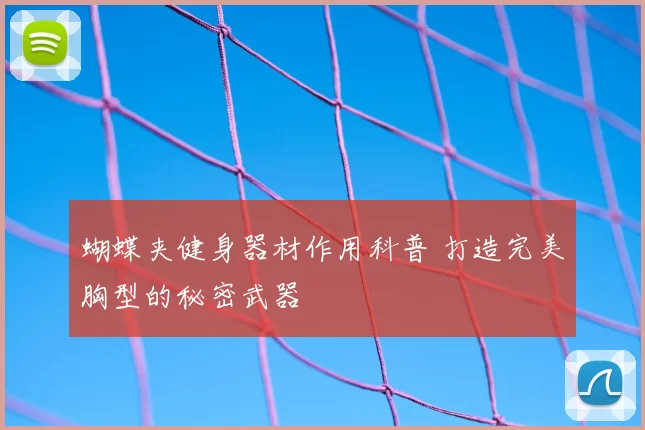 蝴蝶夹健身器材作用科普 打造完美胸型的秘密武器